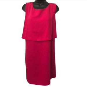 🔥❤️Cynthia ROWLEY: Hot Pink Popover Dress!
